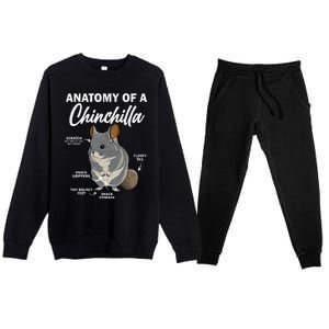 Anatomy Of A Chinchilla For Women Chinchilla Mom Funny Premium Crewneck Sweatsuit Set