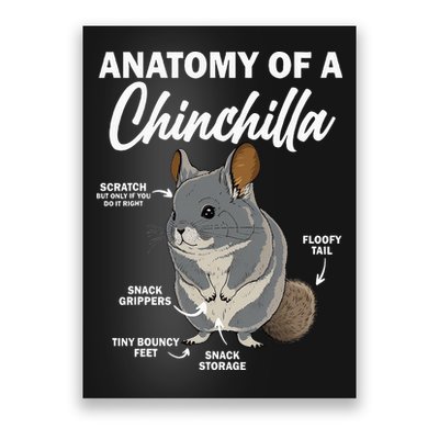 Anatomy Of A Chinchilla For Women Chinchilla Mom Funny Poster