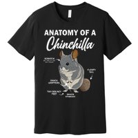 Anatomy Of A Chinchilla For Women Chinchilla Mom Funny Premium T-Shirt