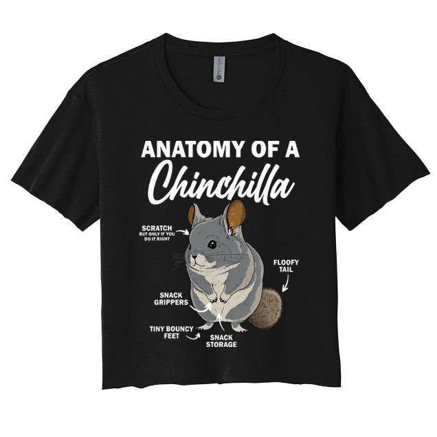 Anatomy Of A Chinchilla For Women Chinchilla Mom Funny Crop Top