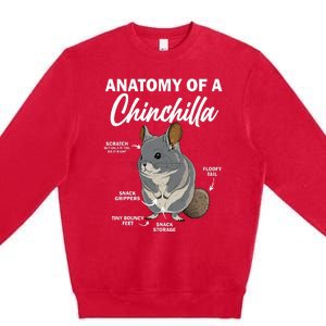 Anatomy Of A Chinchilla For Women Chinchilla Mom Funny Premium Crewneck Sweatshirt