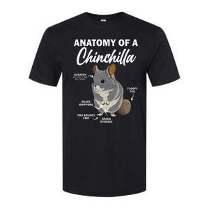 Anatomy Of A Chinchilla For Women Chinchilla Mom Funny Softstyle CVC T-Shirt