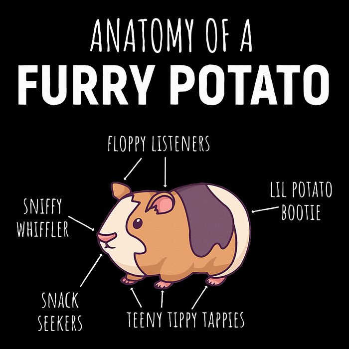 Anatomy Of A Furry Potato Guinea Pig Lover Doggie Tank