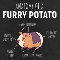 Anatomy Of A Furry Potato Guinea Pig Lover 11oz C Handle Ceramic Mug