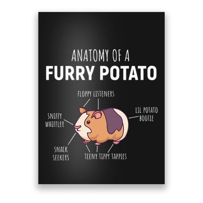 Anatomy Of A Furry Potato Guinea Pig Lover Poster