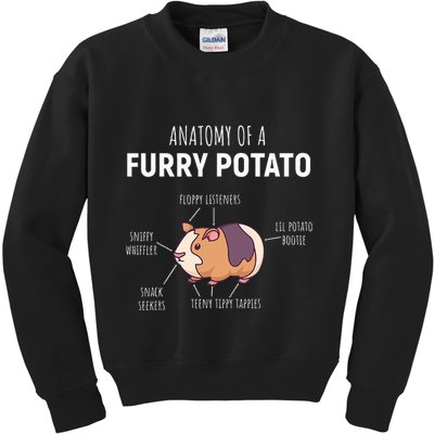 Anatomy Of A Furry Potato Guinea Pig Lover Kids Sweatshirt