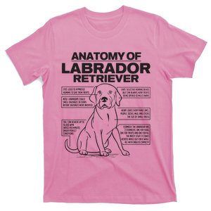 Anatomy Of A Labrador Retriever Funny Dog Owner Gifts T-Shirt