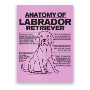 Anatomy Of A Labrador Retriever Funny Dog Owner Gifts Poster