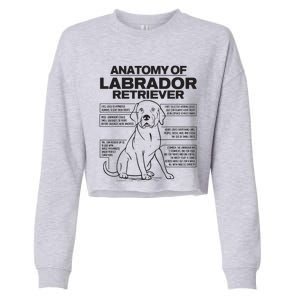 Anatomy Of A Labrador Retriever Funny Dog Owner Gifts Cropped Pullover Crew