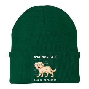 Anatomy Of A Golden Retriver Knit Cap Winter Beanie