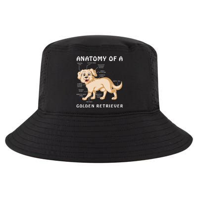 Anatomy Of A Golden Retriver Cool Comfort Performance Bucket Hat