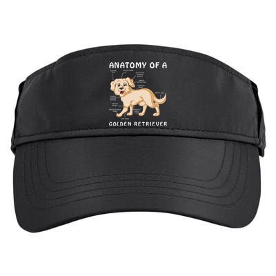 Anatomy Of A Golden Retriver Adult Drive Performance Visor