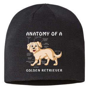 Anatomy Of A Golden Retriver Sustainable Beanie