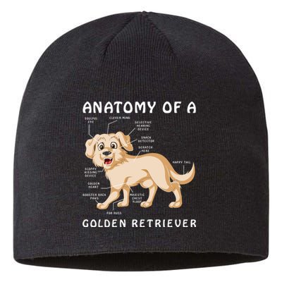 Anatomy Of A Golden Retriver Sustainable Beanie