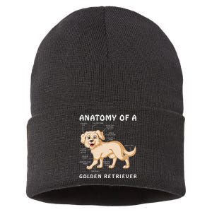 Anatomy Of A Golden Retriver Sustainable Knit Beanie