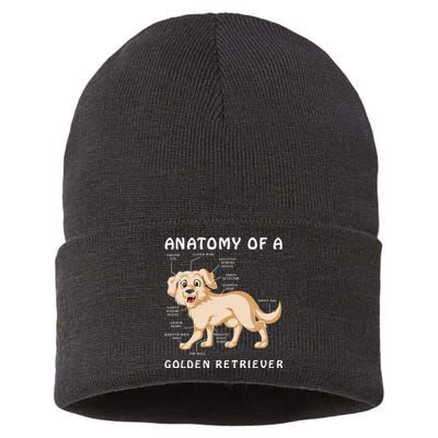 Anatomy Of A Golden Retriver Sustainable Knit Beanie