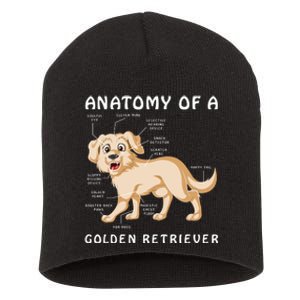 Anatomy Of A Golden Retriver Short Acrylic Beanie