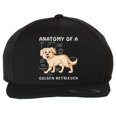 Anatomy Of A Golden Retriver Wool Snapback Cap