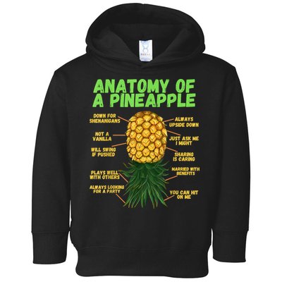 Anatomy Of A Pineapple Funny Upside Down Pineapple Toddler Hoodie