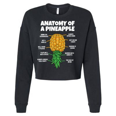 Anatomy Of A Pineapple Swinger Funny Upside Down Pineapple Cropped Pullover Crew