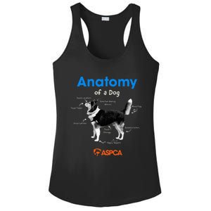 Anatomy Of A Dog Ladies PosiCharge Competitor Racerback Tank