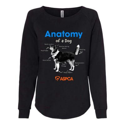 Anatomy Of A Dog Womens California Wash Sweatshirt