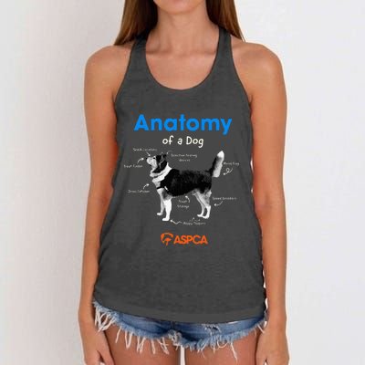 Anatomy Of A Dog Women's Knotted Racerback Tank