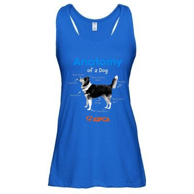 Anatomy Of A Dog Ladies Essential Flowy Tank