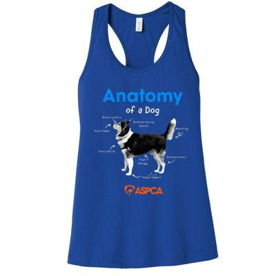 Anatomy Of A Dog Women's Racerback Tank