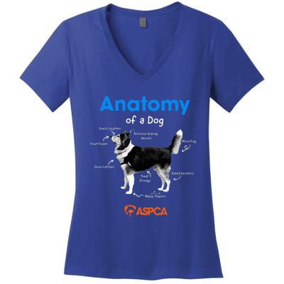 Anatomy Of A Dog Women's V-Neck T-Shirt