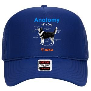 Anatomy Of A Dog High Crown Mesh Back Trucker Hat