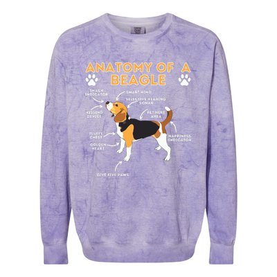 Anatomy Of A Beagle Funny Beagle Dog Lover Pet Owner Colorblast Crewneck Sweatshirt