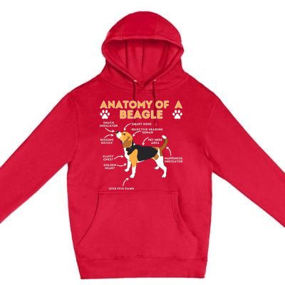 Anatomy Of A Beagle Funny Beagle Dog Lover Pet Owner Premium Pullover Hoodie