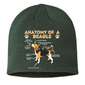 Anatomy Of A Beagle Funny Beagle Dog Lover Pet Owner Sustainable Beanie