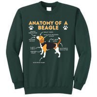 Anatomy Of A Beagle Funny Beagle Dog Lover Pet Owner Tall Sweatshirt