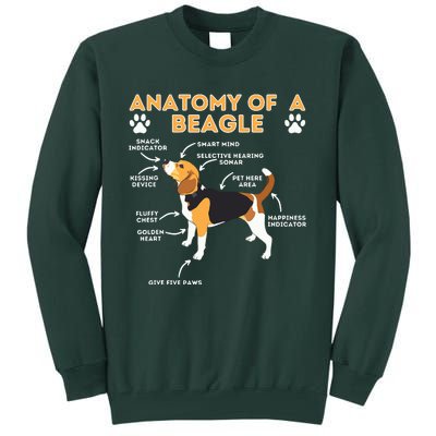 Anatomy Of A Beagle Funny Beagle Dog Lover Pet Owner Tall Sweatshirt