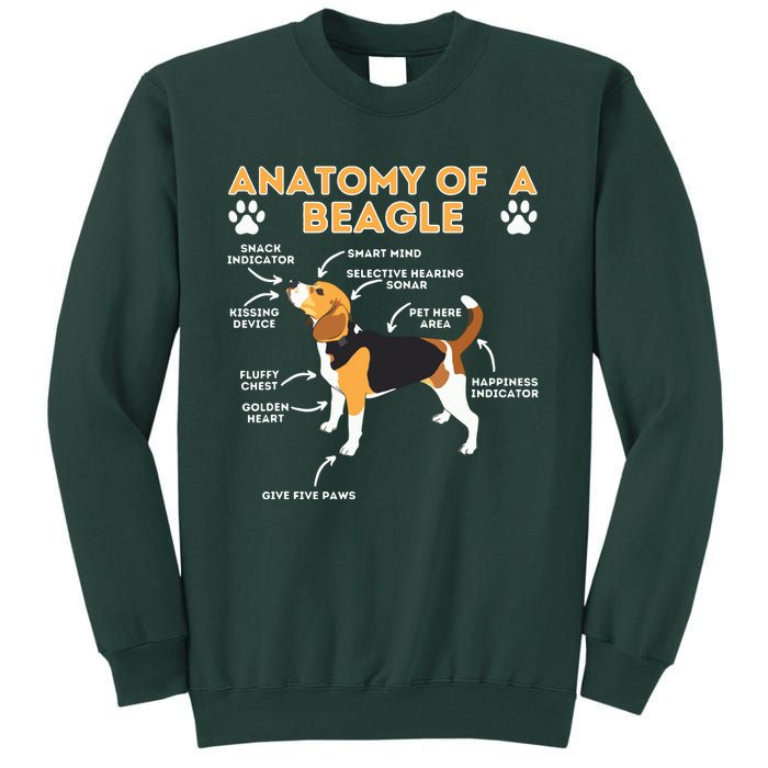 Anatomy Of A Beagle Funny Beagle Dog Lover Pet Owner Tall Sweatshirt