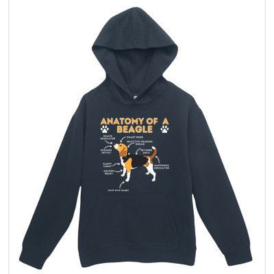 Anatomy Of A Beagle Funny Beagle Dog Lover Pet Owner Urban Pullover Hoodie