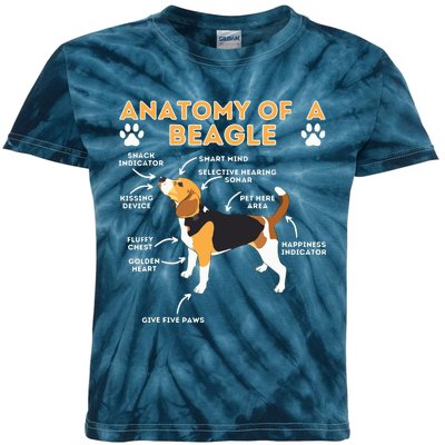 Anatomy Of A Beagle Funny Beagle Dog Lover Pet Owner Kids Tie-Dye T-Shirt