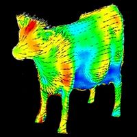 Aerodynamics Of A Cow Cow Physics Science Engineering Meme Heatmap Impact Tech Backpack