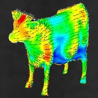Aerodynamics Of A Cow Cow Physics Science Engineering Meme Heatmap Large Microfiber Waffle Golf Towel