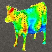 Aerodynamics Of A Cow Cow Physics Science Engineering Meme Heatmap Cotton Canvas Backpack
