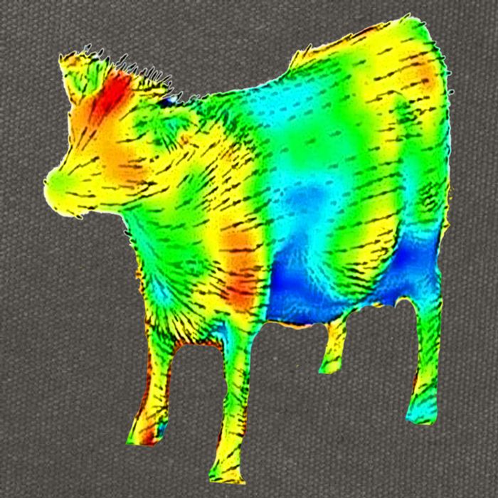 Aerodynamics Of A Cow Cow Physics Science Engineering Meme Heatmap Cotton Canvas Backpack