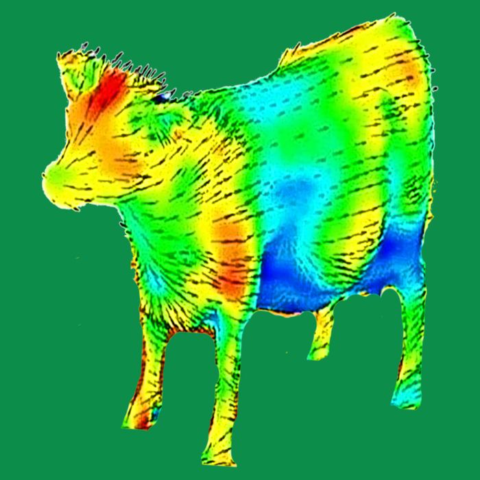 Aerodynamics Of A Cow Cow Physics Science Engineering Meme Heatmap T-Shirt