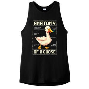 Anatomy Of A Goose Funny Goose Ladies PosiCharge Tri-Blend Wicking Tank