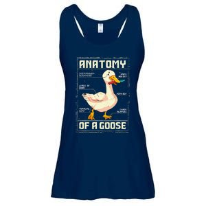 Anatomy Of A Goose Funny Goose Ladies Essential Flowy Tank