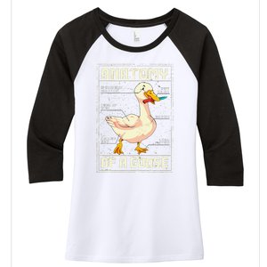 Anatomy Of A Goose Funny Goose Women's Tri-Blend 3/4-Sleeve Raglan Shirt