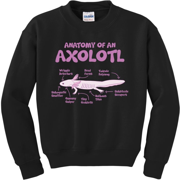 Anatomy Of An Axolotl Axolotls Funny Biology Diagram Science  Kids Sweatshirt