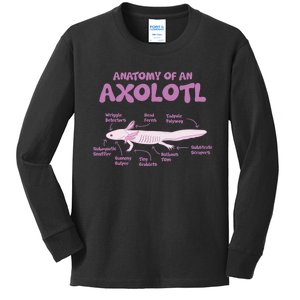 Anatomy Of An Axolotl Axolotls Funny Biology Diagram Science  Kids Long Sleeve Shirt