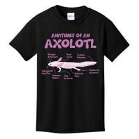 Anatomy Of An Axolotl Axolotls Funny Biology Diagram Science  Kids T-Shirt